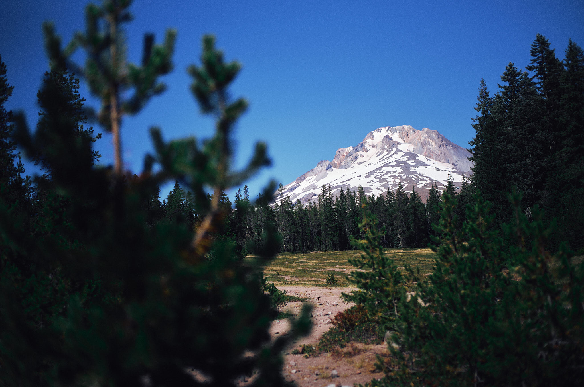 L1001694_sml