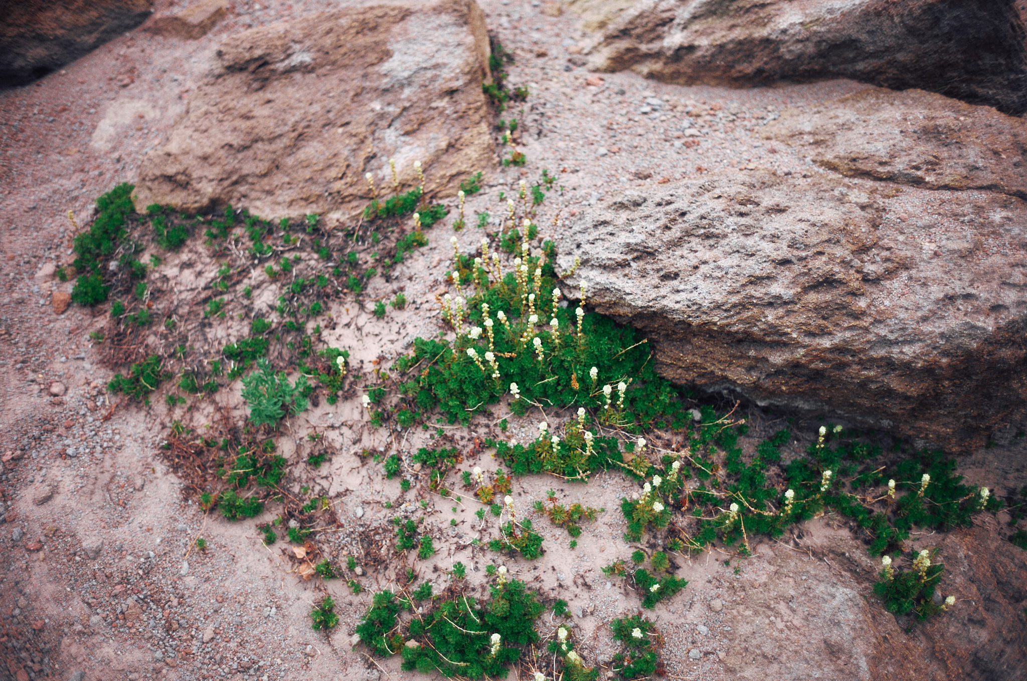 L1001711_sml