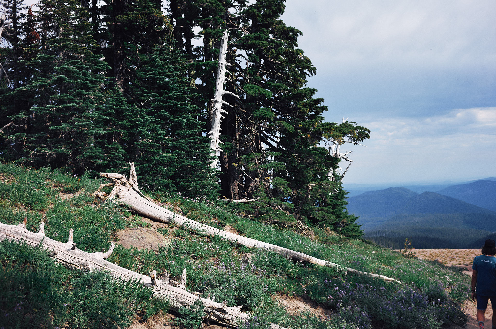 L1001728_sml