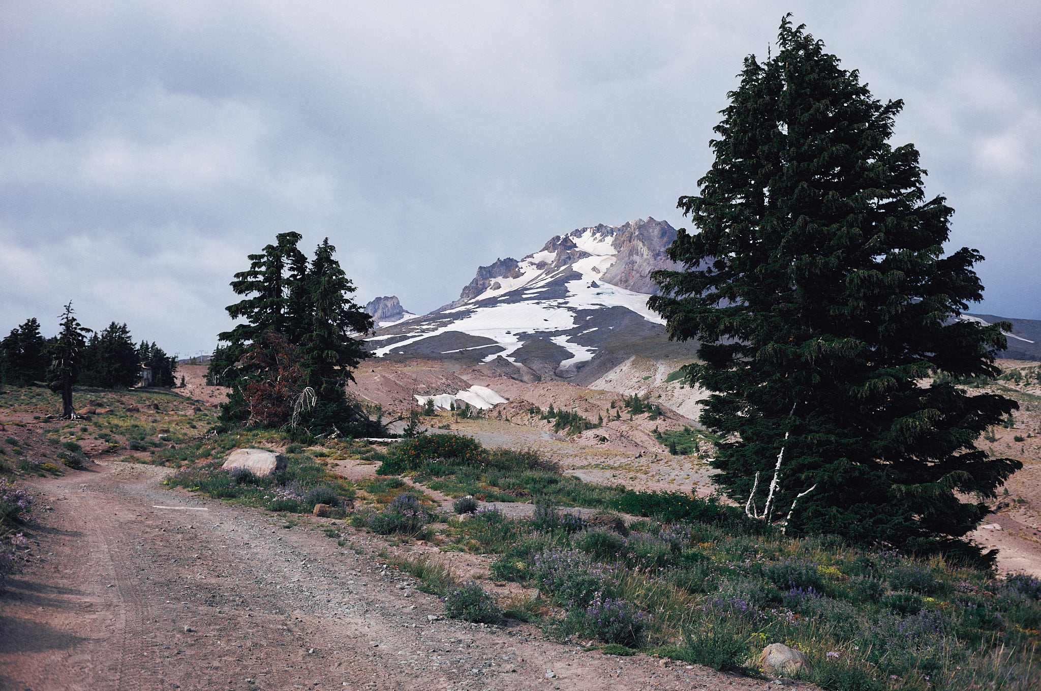 L1001730_sml