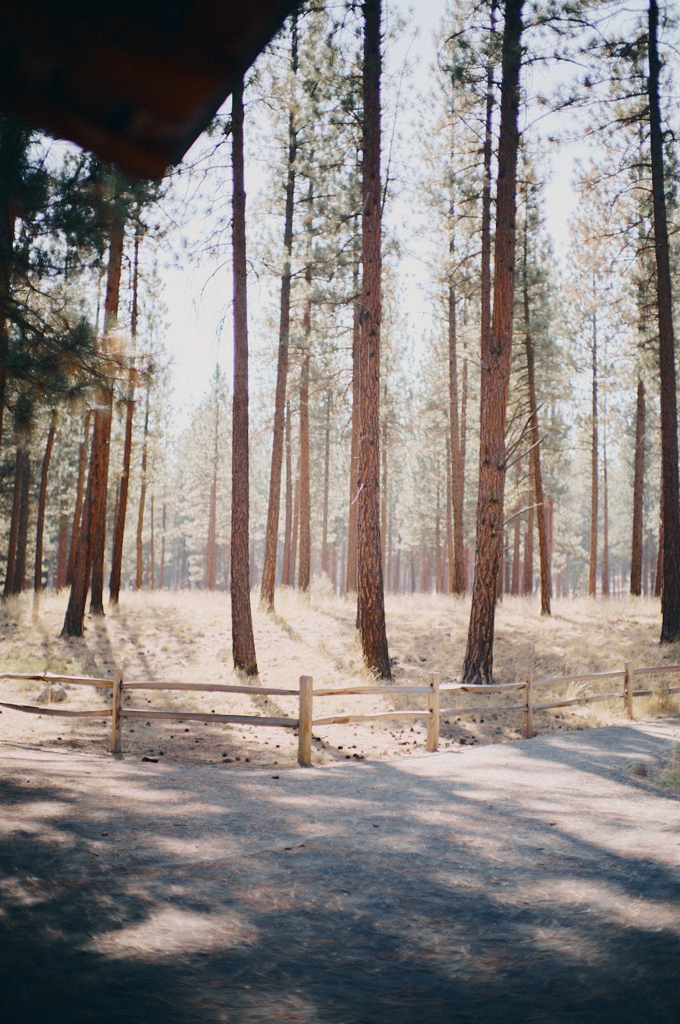 L1002662_sml2